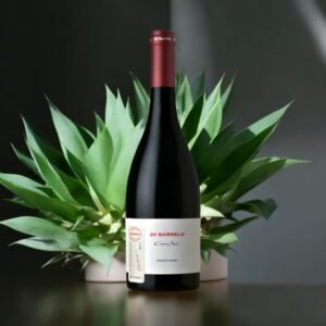 Cono Sur 20 Barrels Syrah 2015 มีรสชาติและกลิ่นหอมอย่างไร?