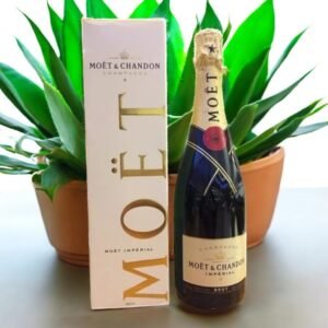 มีรุ่นหรือประเภทอื่นๆ ของ Moet & Chandon ที่ควรรู้จักไหม?