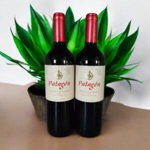 ใครเป็นผู้ผลิต Patagon Cabernet Sauvignon 2019?