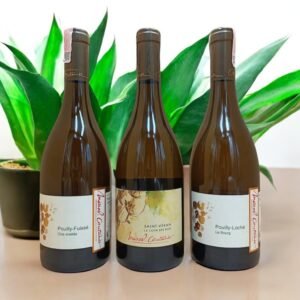 Are there any notable critics who have reviewed Domaine Marcel Couturier wines?