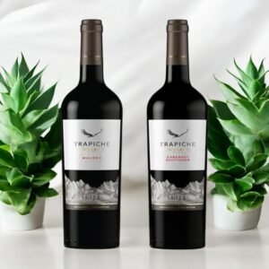 Trapiche Oak Cask Malbec 2017 มีความเป็นเอกลักษณ์อย่างไรเมื่อเปรียบเทียบกับไวน์อื่นๆ?