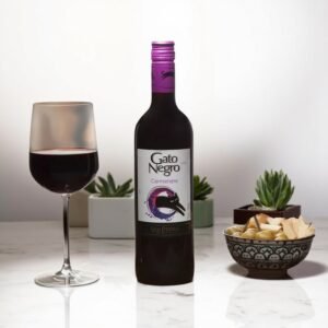 Gato Negro Carménère เหมาะสำหรับการจับคู่กับอาหารประเภทใด?