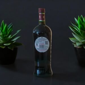 Martini Rosso Vermouth กับ Martini Dry ต่างกันอย่างไร?