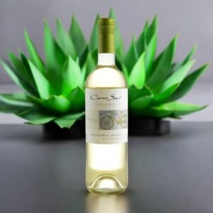มีรีวิวหรือความคิดเห็นเกี่ยวกับ Cono Sur Sauvignon Blanc 2014 จากผู้ดื่มไวน์อย่างไรบ้าง?