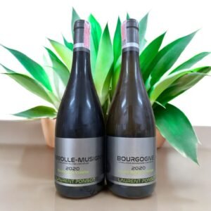 Laurent Ponsot Chambolle Musigny 2020 มีการผลิตในปริมาณมากหรือจำกัด?