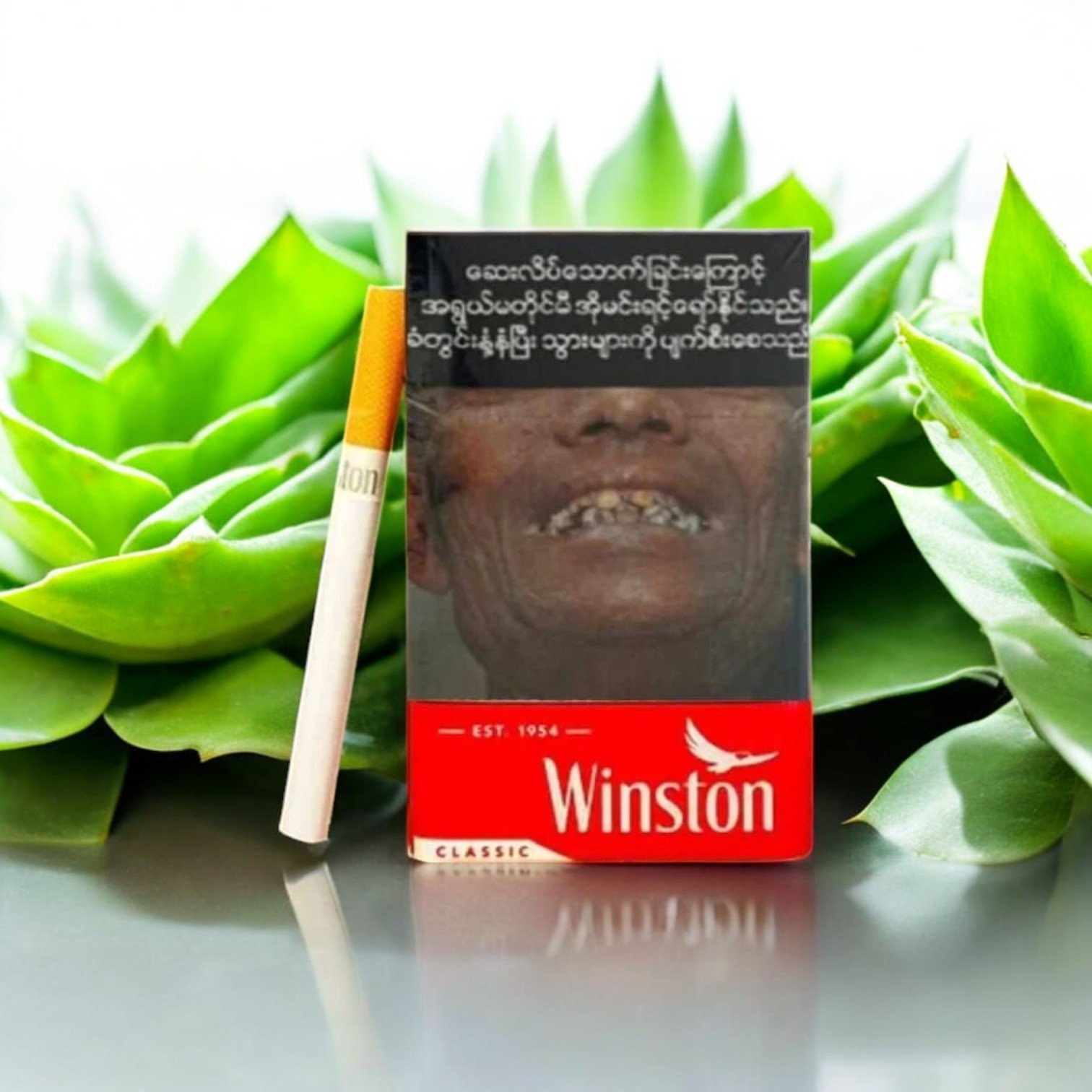 Winston Classic - Cheap Cigarettes Store