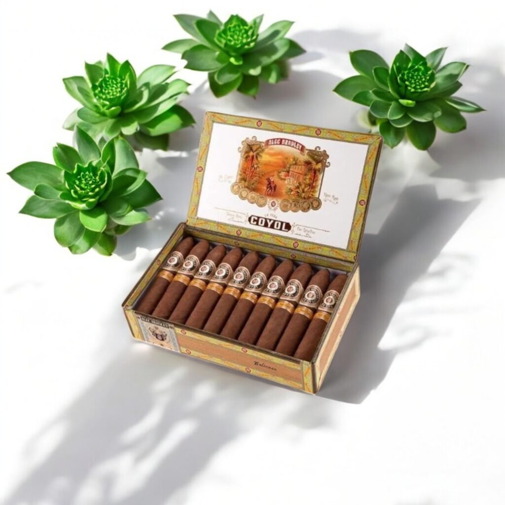 Alec Bradley Coyol สัมผัสลงตัว