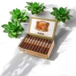 Alec Bradley Coyol สัมผัสลงตัว