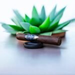 Alec Bradley Gatekeeper 5×50