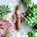 Alec Bradley Project 40 Robusto