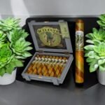 Alec Bradle พรีเมียมจากฮอนดูรัส