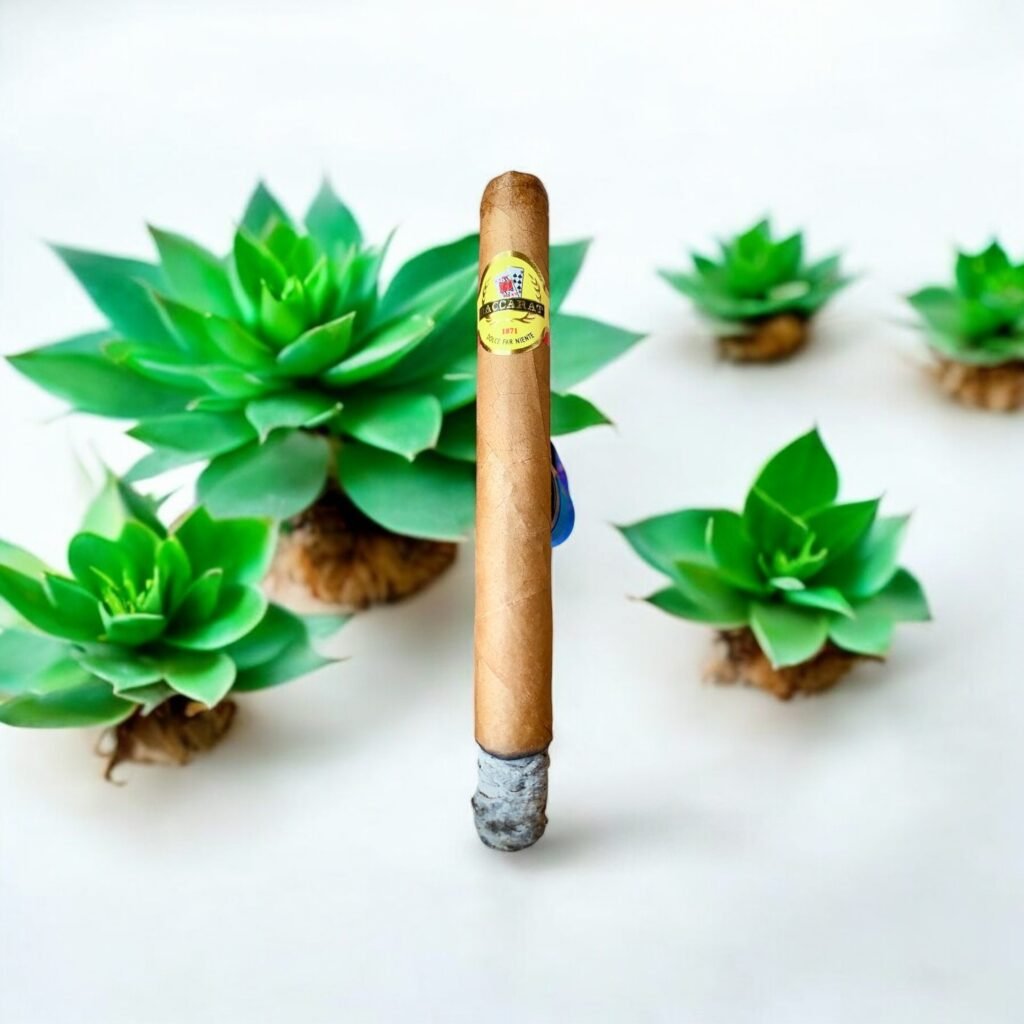 Baccarat Havana 6×50 ซิการ์