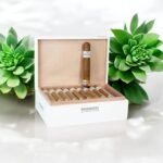 Back2Back Connecticut