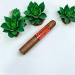 Camacho Corojo Robusto