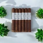 Camacho Factory Unleashed 6×50 ไม่เหมือนใคร