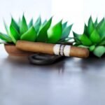 Cohiba Connecticut Robusto