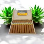 Cohiba Piramides Extra ซิการ์
