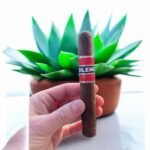 Cohiba Siglo VI Tubed Cigar ซิการ์