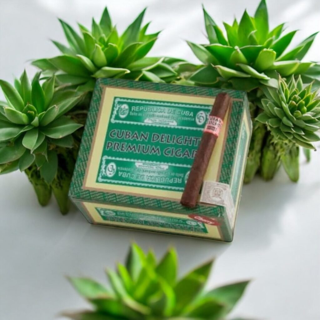 Cuban Delights Cherry ซิการ์