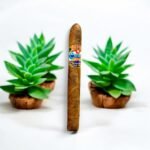 Cuban Mistakes Fumas Lonsdale Habano