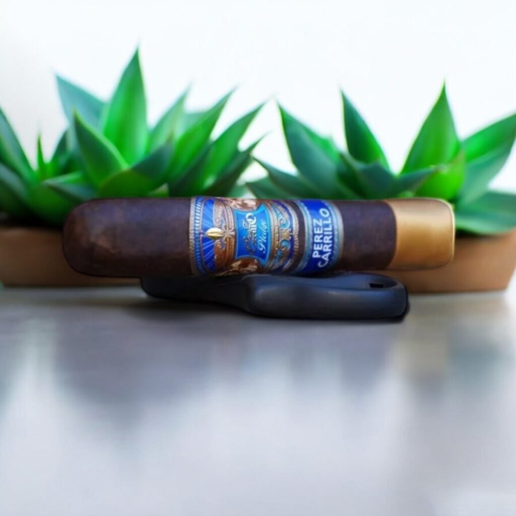 E.P. Carrillo Pledge Prequel 5×50