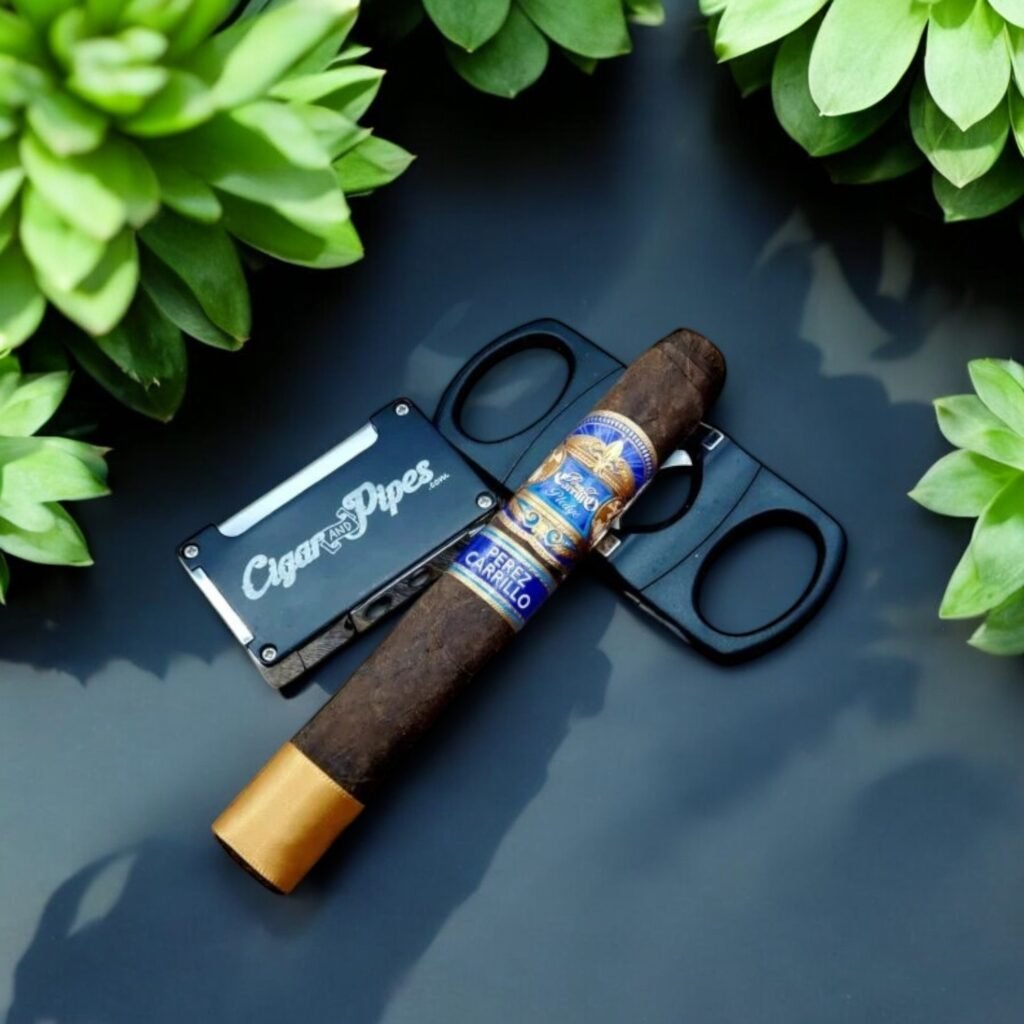 EP Carrillo Pledge Prequel 5×50