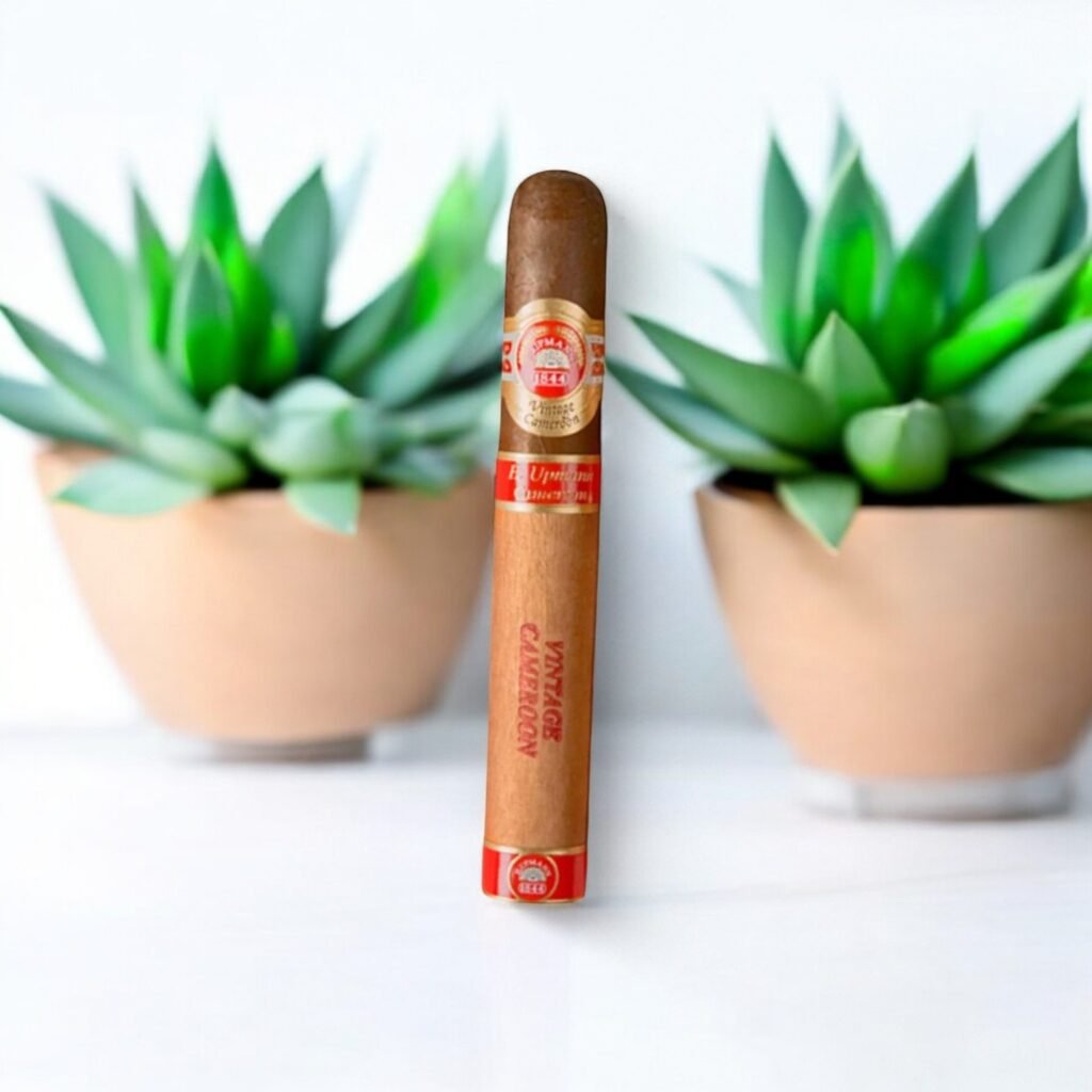 H. Upmann Vintage Cameroon ซิก้าร์