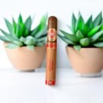 H. Upmann Vintage Cameroon ซิก้าร์
