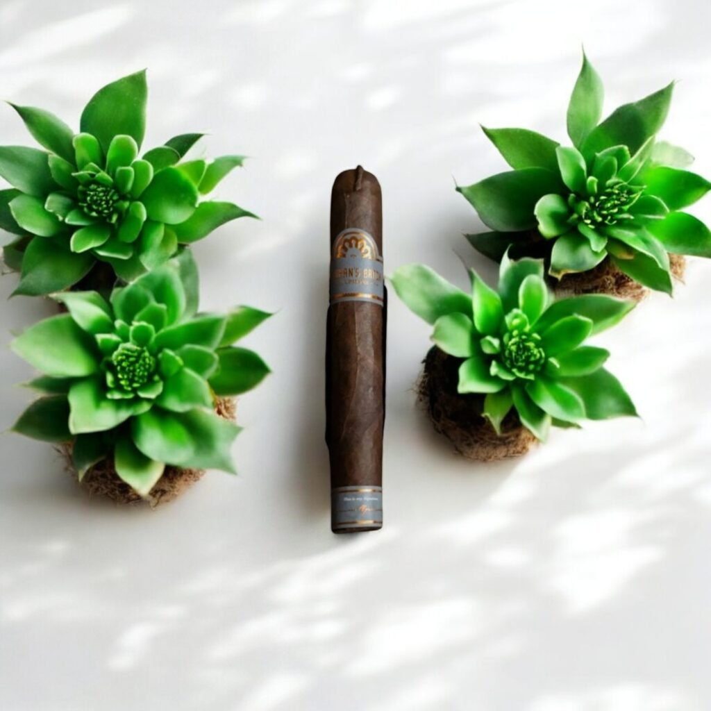 H.Upmann 1844 Anejo Toro 6×54