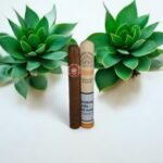 H.Upmann Coronas Junior