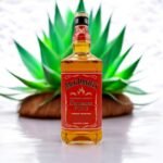 Jack Daniel’s Tennessee Fire เหมาะสำหรับการดื่มในโอกาสไหนบ้าง?