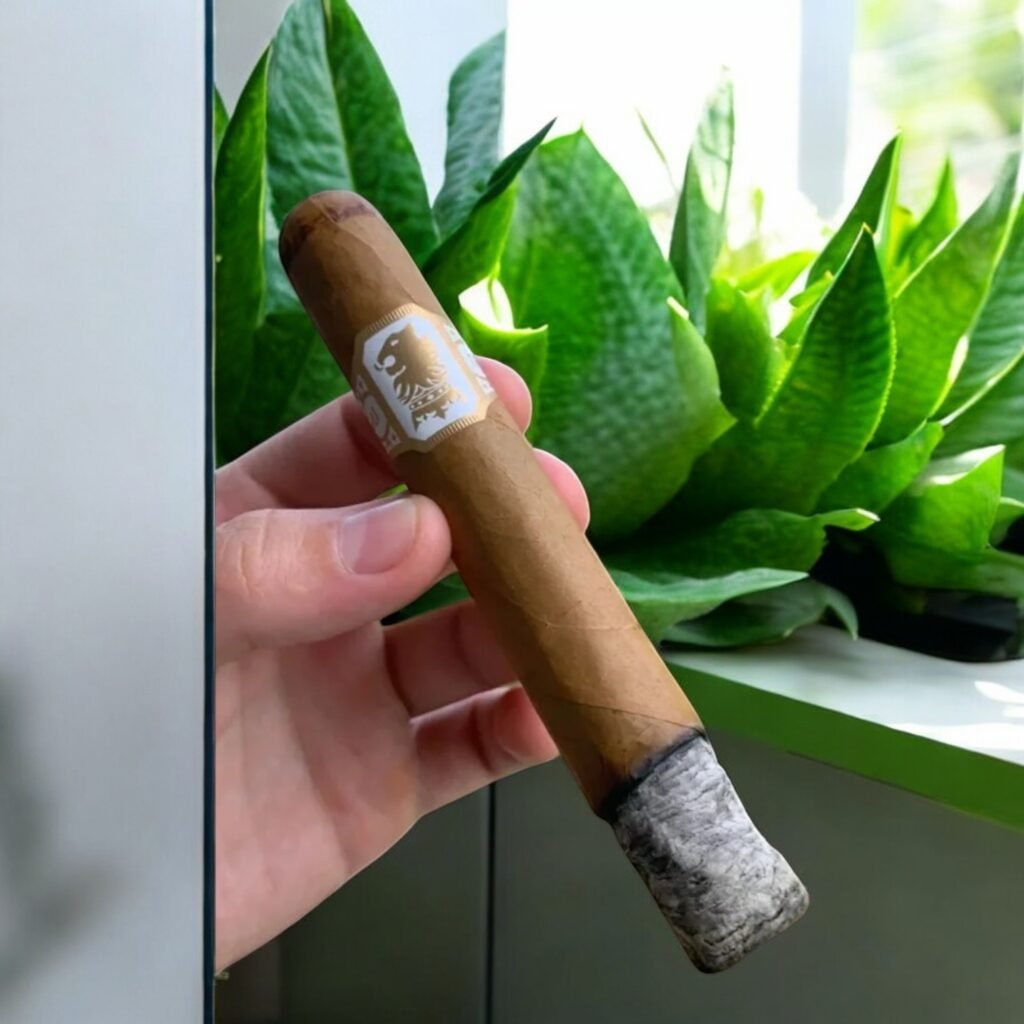 Liga Undercrown Connecticut Shade 6×50
