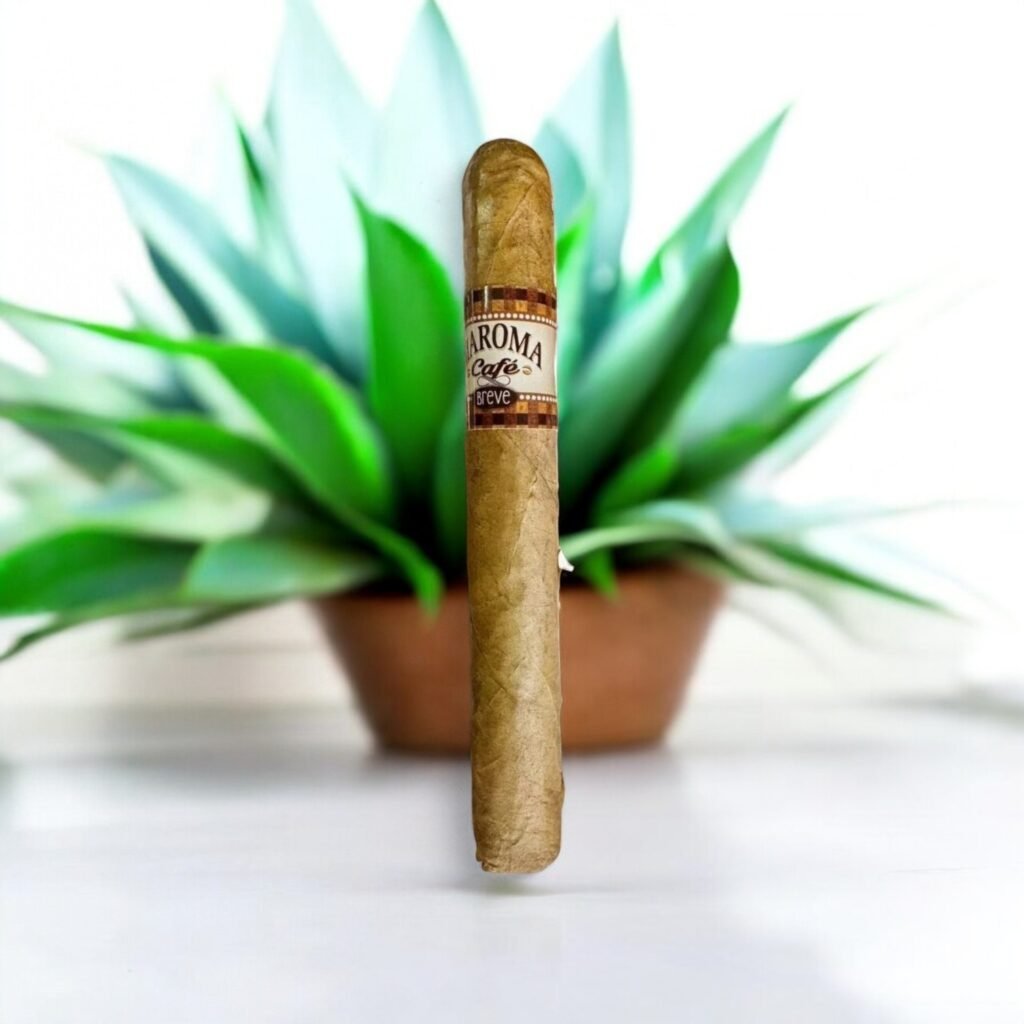 Maroma Café Breve 6×50