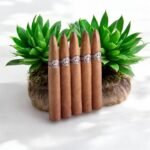 Montecristo ซิการ์