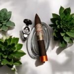 My Father Le Bijou 1922 Torpedo