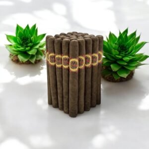 Oba Oba Torpedo 5 Maduro