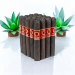 Odyssey Maduro Robusto