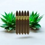 Oliva Serie G Cameroon Figurado