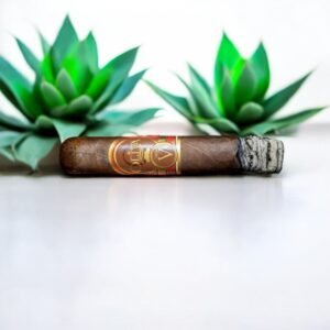 Oliva