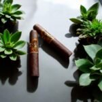 Oliva Serie V Double Robusto