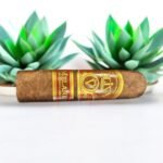 Oliva Serie V Melanio Robusto