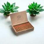 Partagas Serie P No.2 Tubos