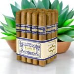 Plan B Connecticut Toro