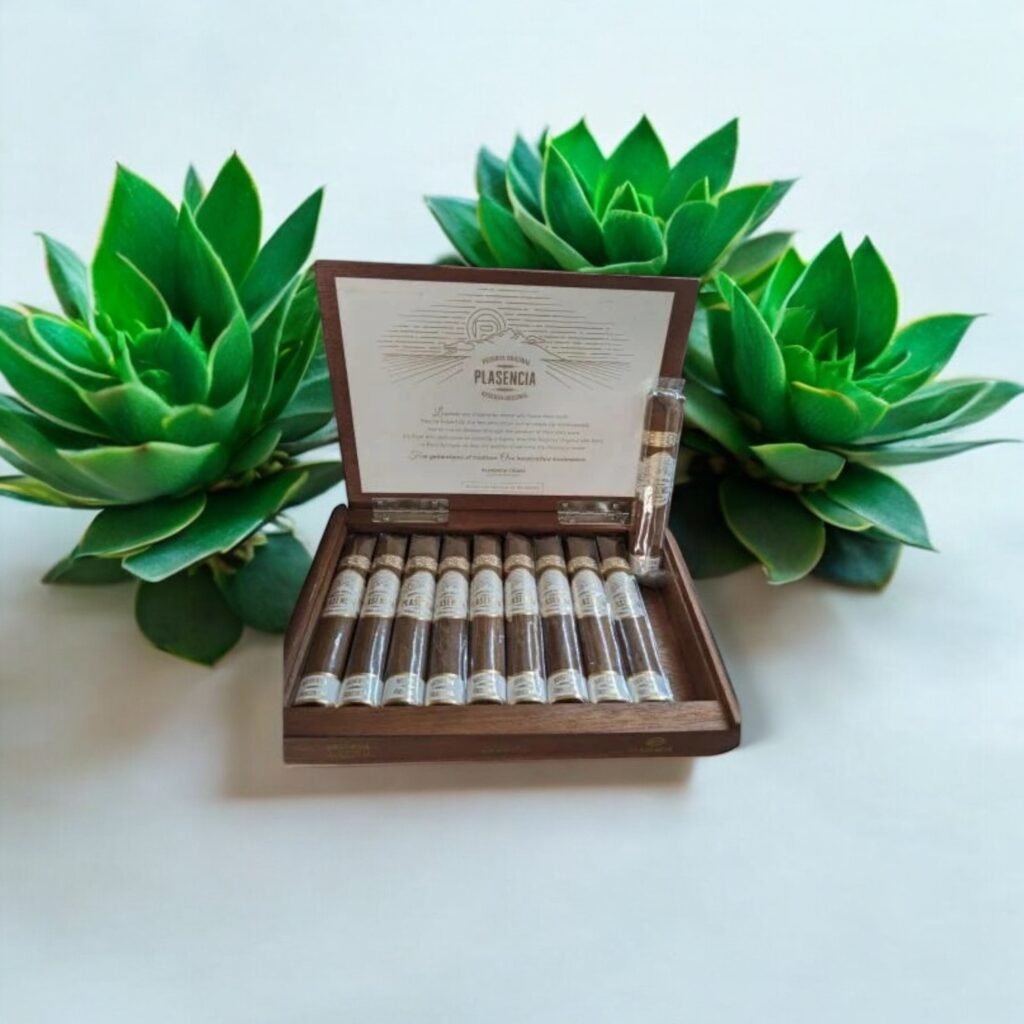 Plasencia Reserva Original ขนาด 6×50