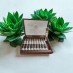 Plasencia Reserva Original ขนาด 6×50