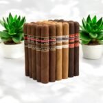 Rocky Patel Freedom Toro