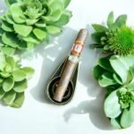 Rocky Patel Hamlet 2020