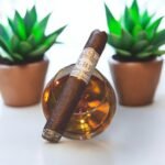 Rocky Patel LB1 Robusto