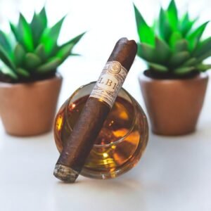 Rocky Patel LB1 Robusto