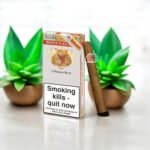 Romeo & Julieta Romeo No.2